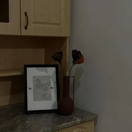 アパート Old Town Apart *